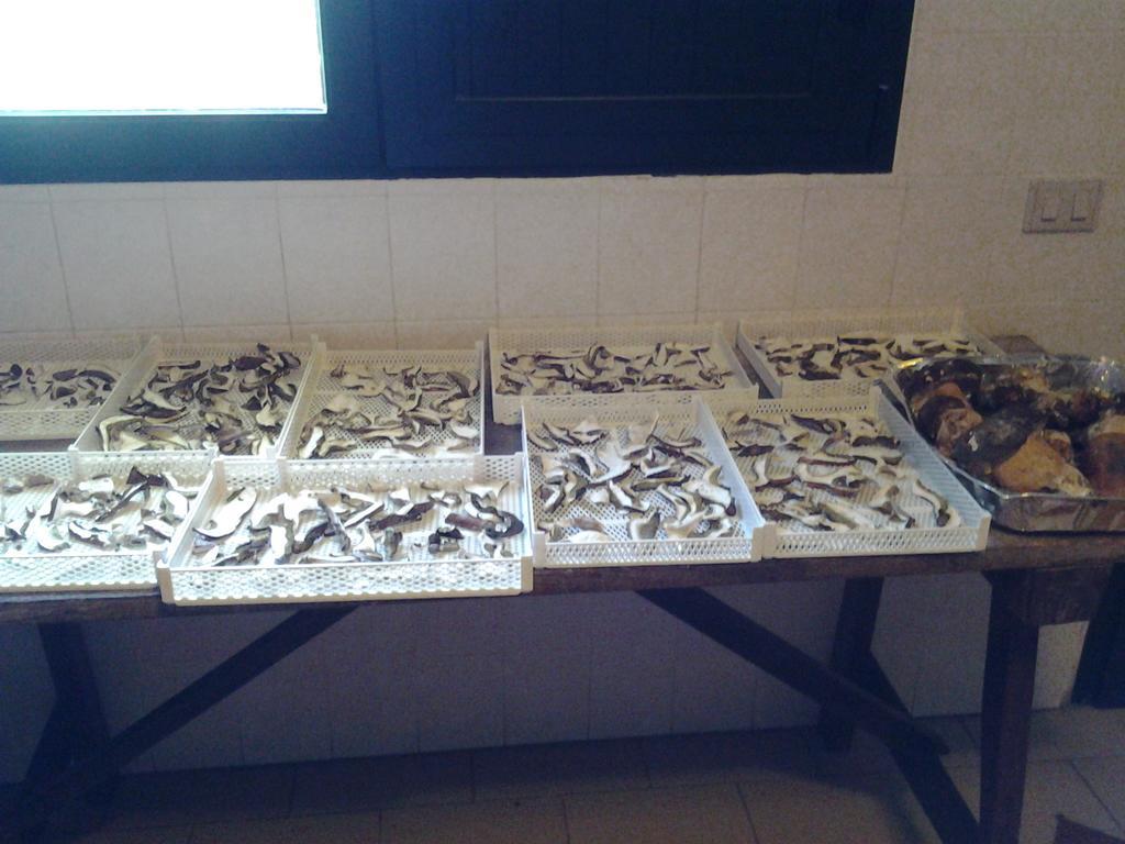 Agriturismo Ticci Seùlo Zewnętrze zdjęcie