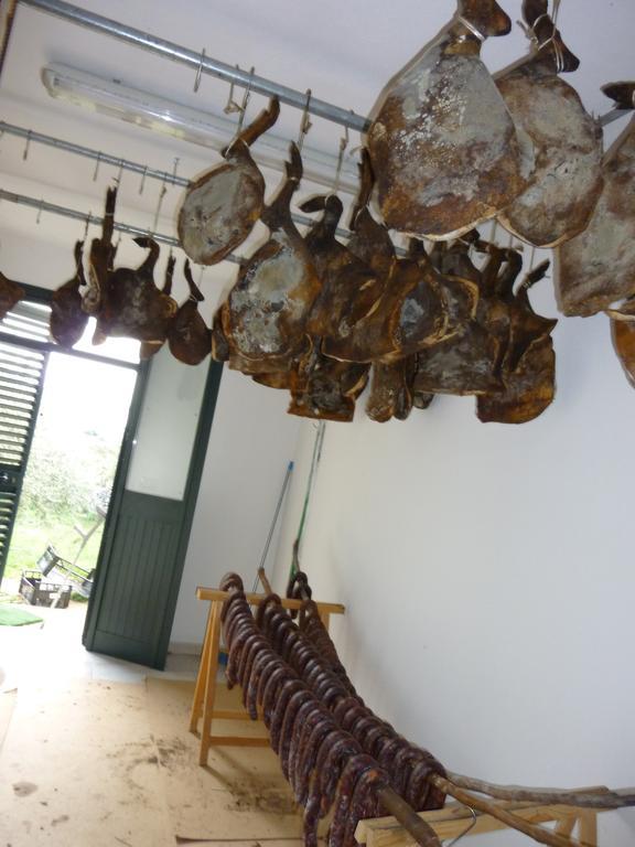 Agriturismo Ticci Seùlo Zewnętrze zdjęcie