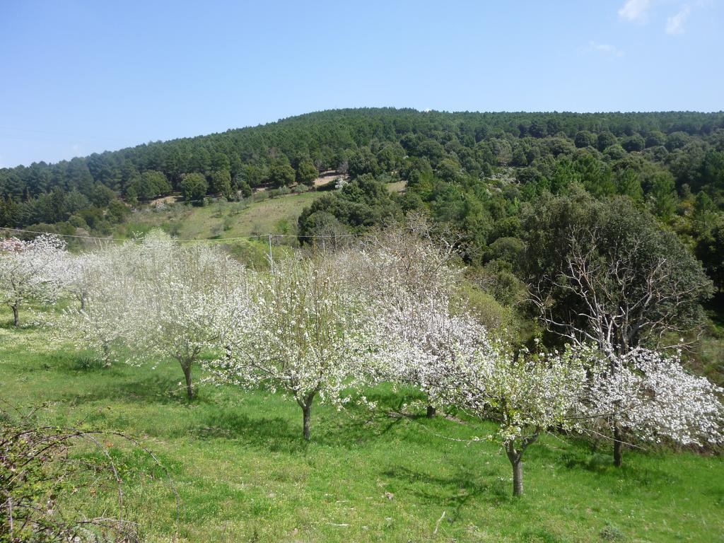 Agriturismo Ticci Seùlo Zewnętrze zdjęcie