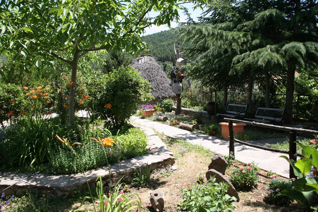 Agriturismo Ticci Seùlo Zewnętrze zdjęcie