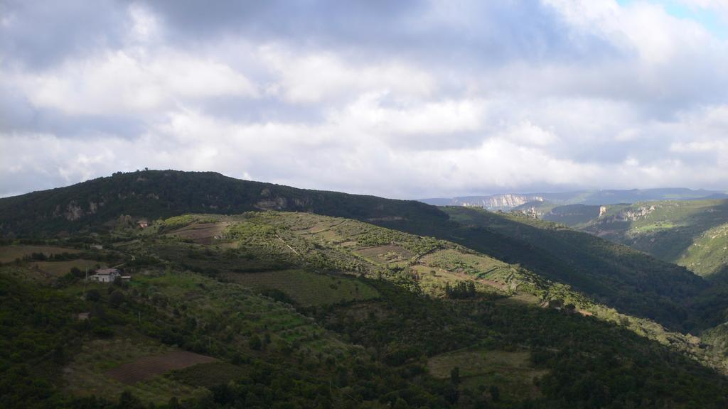 Agriturismo Ticci Seùlo Zewnętrze zdjęcie