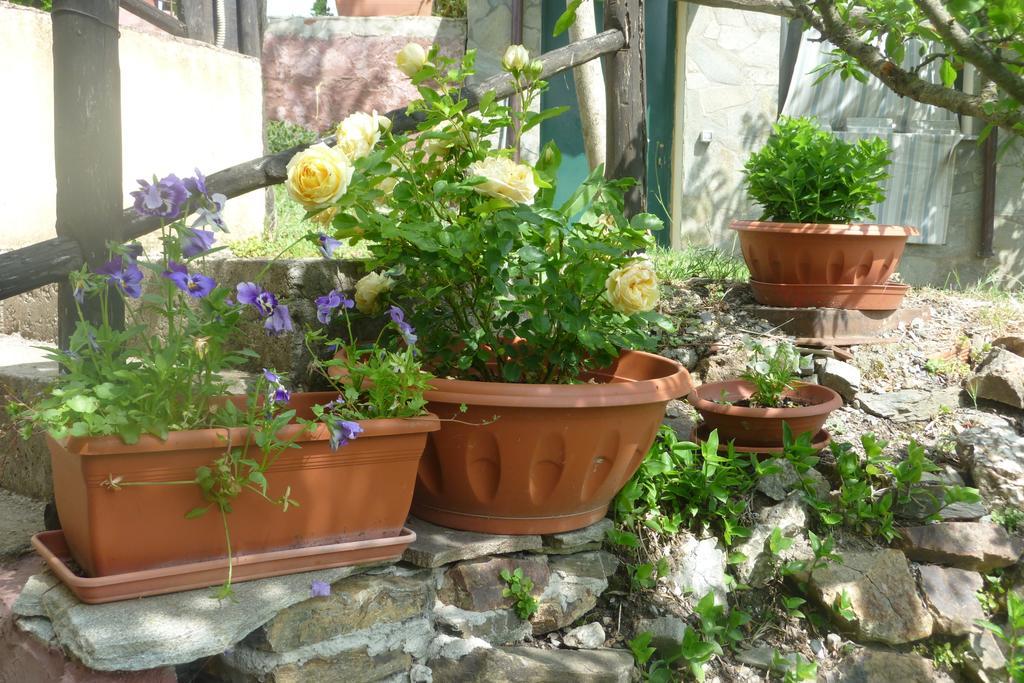 Agriturismo Ticci Seùlo Pokój zdjęcie